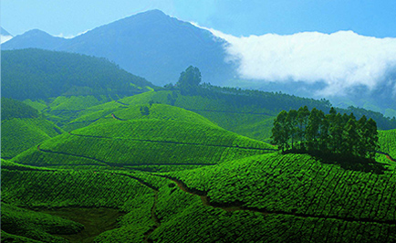 packages Kerala, Kerala tour operators, Kerala Package Tours